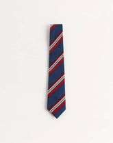 Valentie Striped Silk Tie