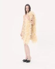 Valentino Feathers Scarf With Ostrich And Turkey Feathers