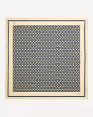 Toute La V Silk Scarf